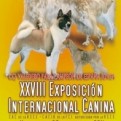 Exposicion de Valladolid Internacional