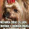 Exposicion de Monografica B Leon 