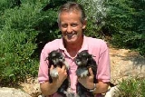 Yorkimania
