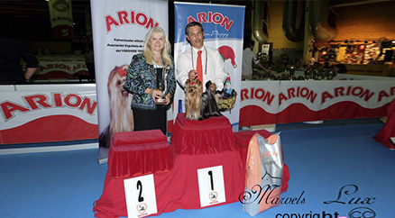 Galilea New CHAMPION de la AECYT