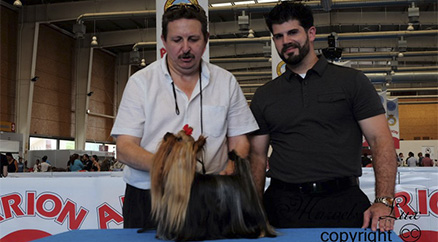 Nuestra yorki Galilea es presentada por Raul Perez del afijo Americano Rama&acute;s