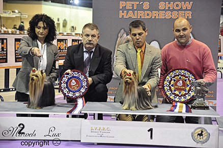 Best in Show Especializada de Sapin 2010