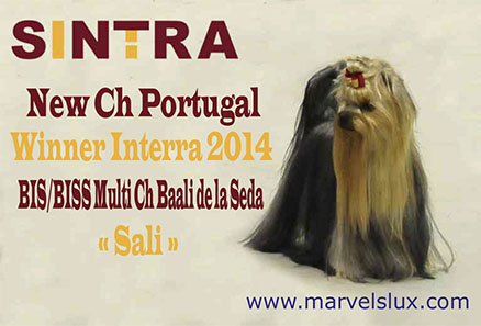 Nueva Campeona de Portugal y Winner Interra 2014