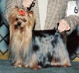 Turyanne Always Love Hobie