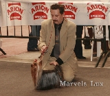 Marvels lux