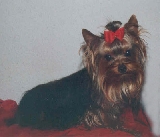 Nani de Tango Pachus