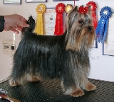 Giovanni de Marvels Lux
