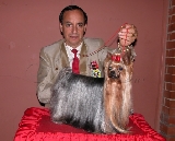 Melva de la Virreyna