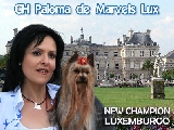 Marvels lux