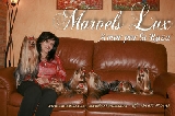 Marvels lux