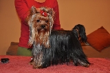 Ferbelle´s Angel On My Shouder