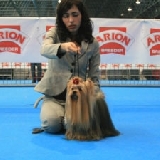 Parkside´s Perfect Diamond