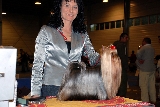 Valentina dei Fiocchi Rossi