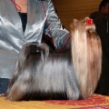 Magic Illusion