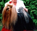 Camparis American Gigolo