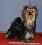 One in Million Nove Kasio