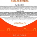 Seguir leyendo