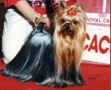 Priscilla de la Pam´Pommeraie