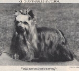 Chantmarles Saucebox