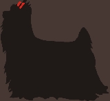 Wondermere´s Bewitchin´Bunny