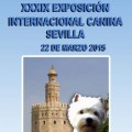 Exposicion de Internacional de Sevilla 2015