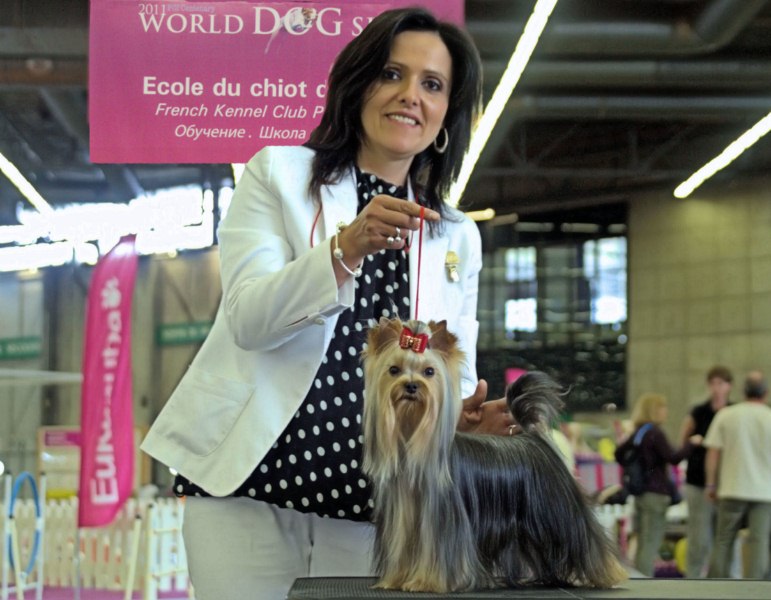 Riddick de Marvels Lux con doce meses de edad ocupa el 4º puesto en World Dog Show de Paris